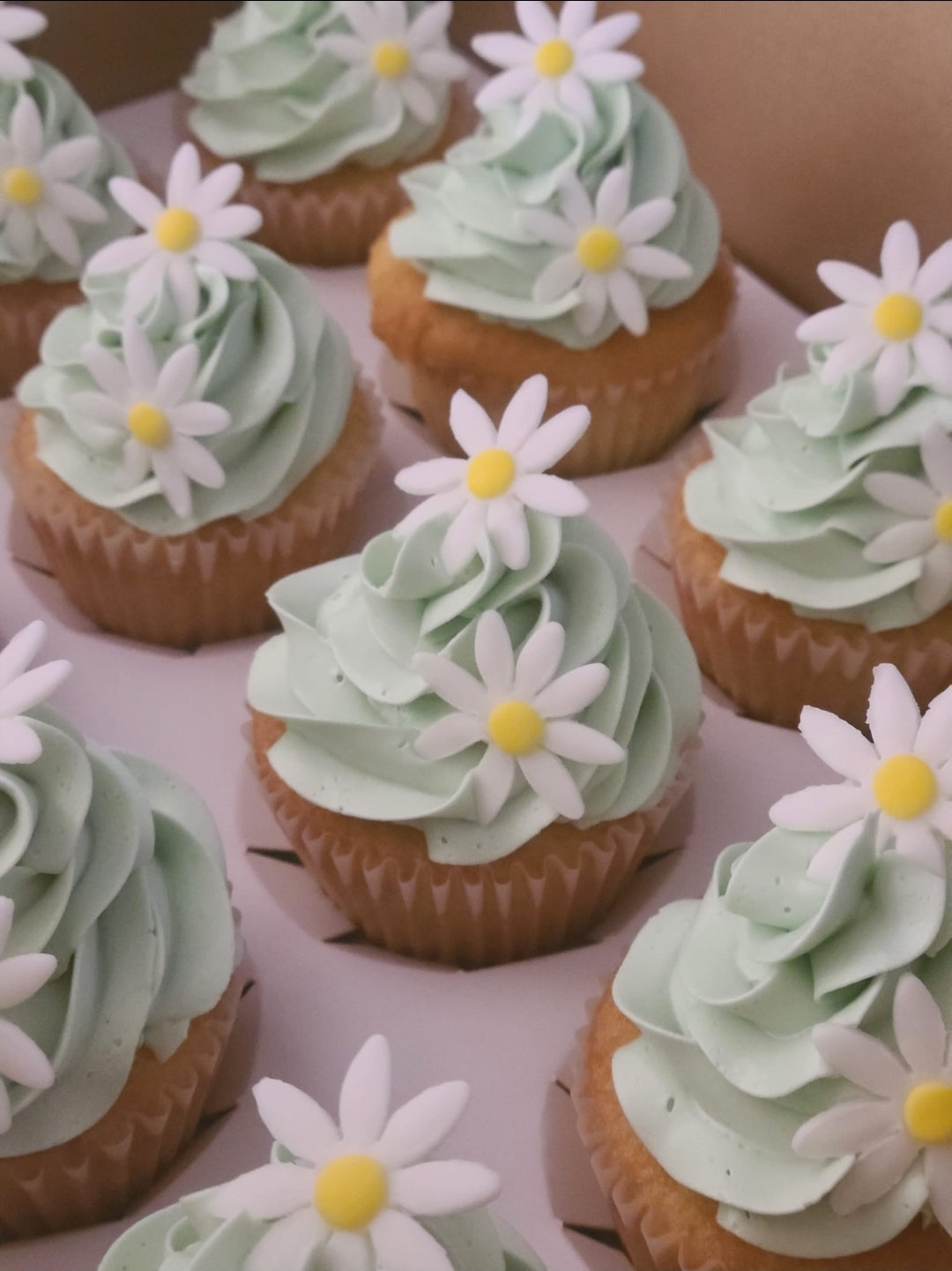 Filled Cupcakes 12 count